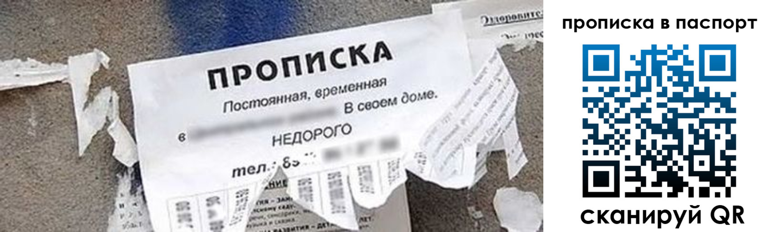 где прописаться в Болотном